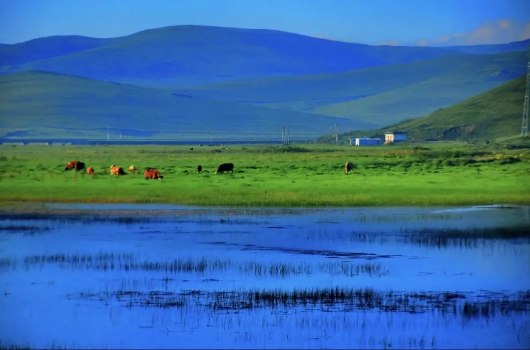 狼渡滩湿地草原